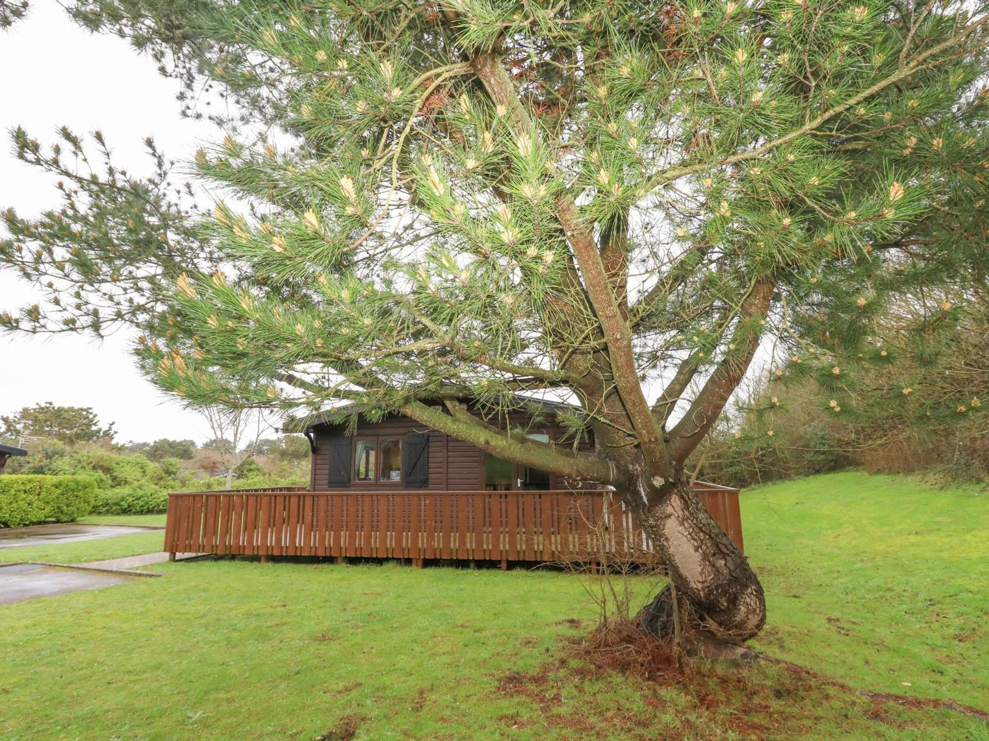 16 Amber Wood Lodge Lymington Ngoại thất bức ảnh